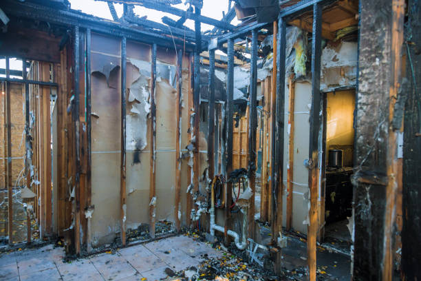 Professional Soot Removal technician working in Glenwood, MD